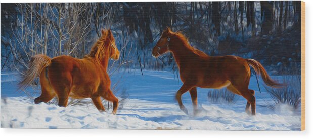 Horse Wood Print featuring the photograph Horses at play by Tracy Winter