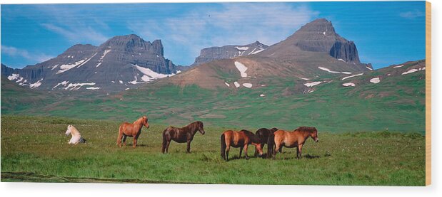 Photography Wood Print featuring the photograph Horses Standing And Grazing In A by Panoramic Images