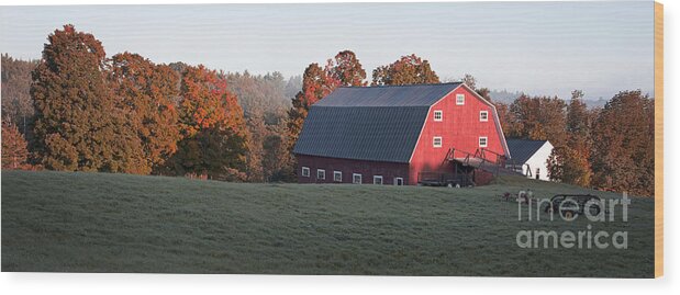 Foliage Wood Print featuring the photograph Panoramic view of a red barn at sunrise by Edward Fielding