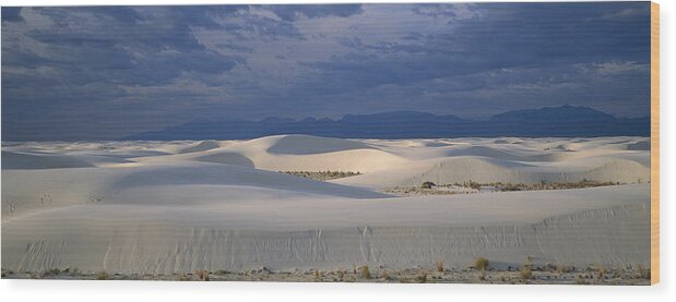 Feb0514 Wood Print featuring the photograph Soaptree Yucca In Gypsum Dunes White by Konrad Wothe