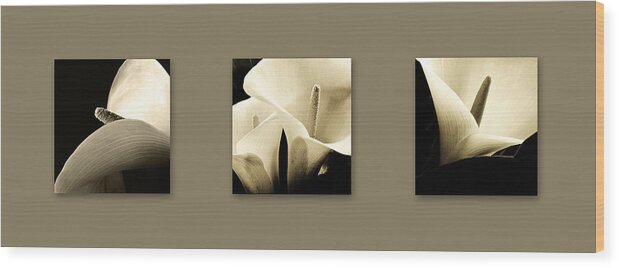 Calla Lilies Wood Print featuring the photograph Calla Lilies art by Sumit Mehndiratta