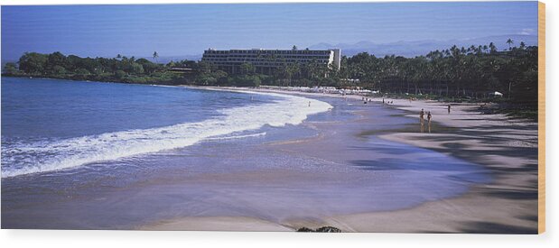 Photography Wood Print featuring the photograph Surf On The Beach, Mauna Kea, Hawaii #1 by Panoramic Images