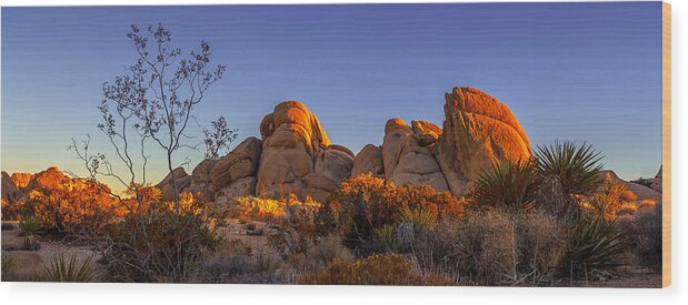 Landscape Wood Print featuring the photograph Desert Light by Jason Roberts