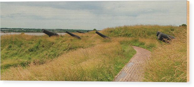 Ft Mchenry Wood Print featuring the photograph Show of Force by Paul Mangold