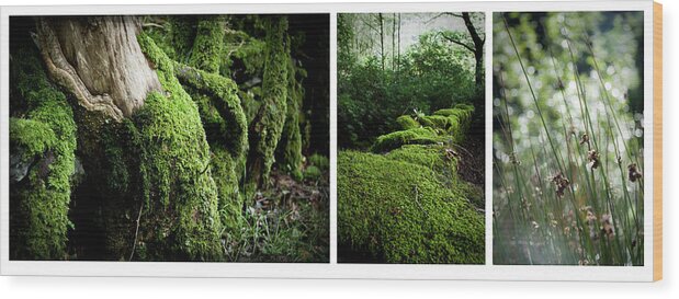 Nant Gwynant Wood Print featuring the photograph Somewhere Only We Go by Dorit Fuhg