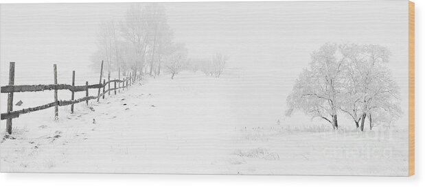 Winter Landscape - Let It Snow Wood Print featuring the painting Winter Landscape - Let it Snow by Celestial Images