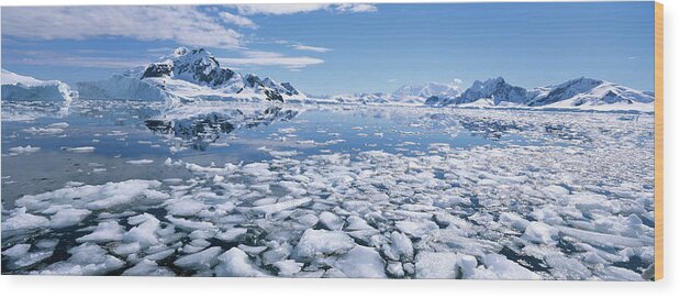 Scenics Wood Print featuring the photograph Antarctica, Paradise Bay, Bryde Island by Paul Souders