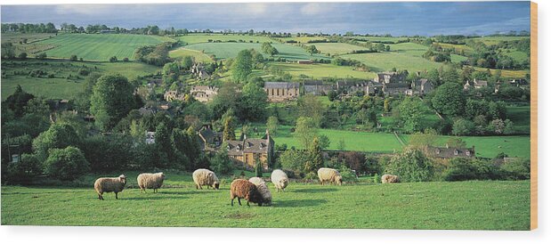 Scenics Wood Print featuring the photograph England, Gloucestershire,  Cotswolds by Peter Adams