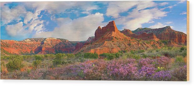 Blooming Wood Print featuring the photograph Feather Delea At Caprock Canyouns by Tim Fitzharris