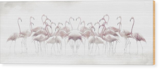 Mirrored Wood Print featuring the photograph Meeting by Anna Cseresnjes