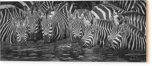 Zebra Wood Print featuring the photograph Thirst by Ali Khataw