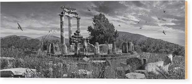 Delphi Tholos Wood Print featuring the photograph Sacred Stone - Black and white photo of Delphi Tholos by Paul E Williams