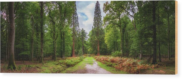 Framing Places Photography Wood Print featuring the photograph Giant Sequoia by Framing Places