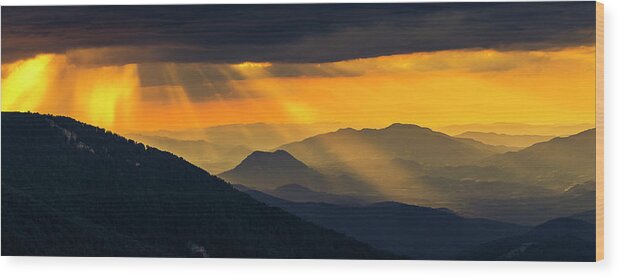 Balkan Mountains Wood Print featuring the photograph Golden Rain by Evgeni Dinev