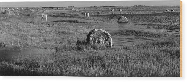 617 Wood Print featuring the photograph Sasqatchewan Fields by Sonny Ryse