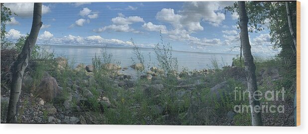 Nature Wood Print featuring the photograph Serenity at Lake Winnipeg by Mary Mikawoz