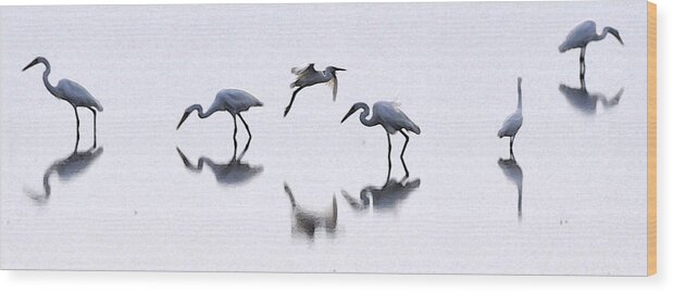  Wood Print featuring the mixed media Snow Egrets by John Brown