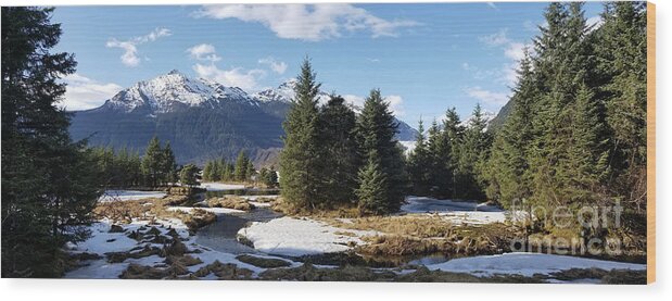 #alaska #ak #juneau #cruise #tours #vacation #peaceful #sealaska #southeastalaska #calm #mendenhallglacier #glacier #capitalcity #dredgelakes #forrest #stream #hike #hiking #snow #cold #clouds #spring #mtmcginnis #panorama #sprucewoodstudios Wood Print featuring the photograph Springtime Glacier Obscured by Charles Vice