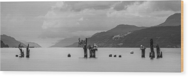 Loch Ness Wood Print featuring the photograph Loch Ness from Dores #2 by Veli Bariskan