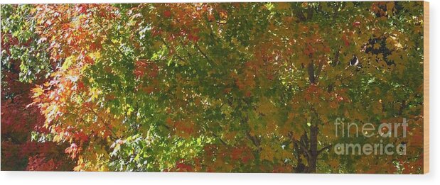 Tree Wood Print featuring the photograph AUTUMN Banner by Anita Adams