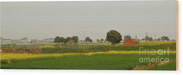 China's Rural Scenery Wood Print featuring the photograph Beautiful China's rural scenery-02 by Hongtao Huang