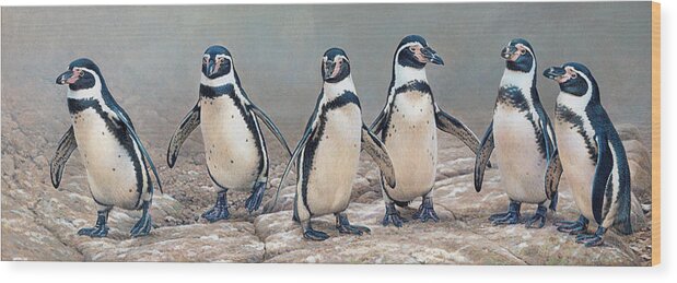 Animal Wood Print featuring the photograph Humboldt Penguins Standing In A Row by Ikon Ikon Images