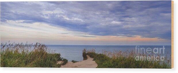 Landscape Wood Print featuring the photograph Lake Ontario at Scarborough Bluffs by Elena Elisseeva