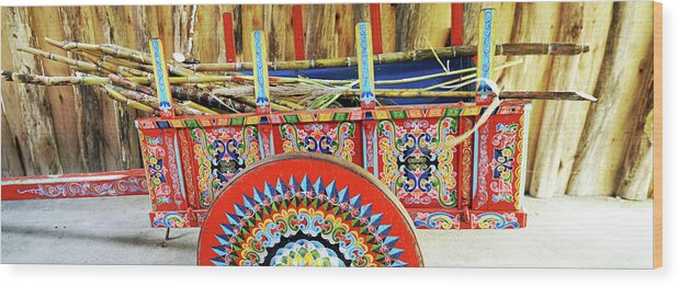 Photography Wood Print featuring the photograph Sugar Canes In La Carreta The Oxcart by Panoramic Images
