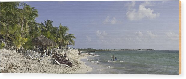 Panorama Wood Print featuring the photograph Tropical Beach by Alan Tonnesen