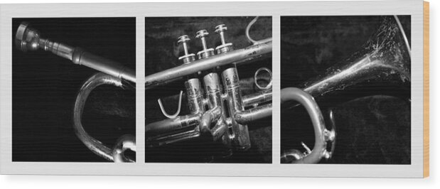 Trumpet Wood Print featuring the photograph Trumpet Triptych by Photographic Arts And Design Studio