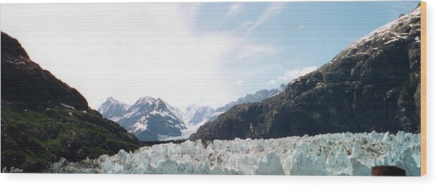 Margerie Glacier Photographs Wood Print featuring the photograph Glacier Bay #1 by C Sitton