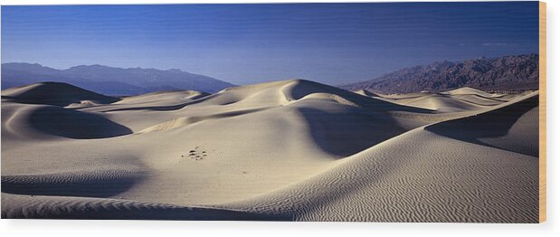 Landscape Wood Print featuring the photograph Sand Dune by Joe Palermo