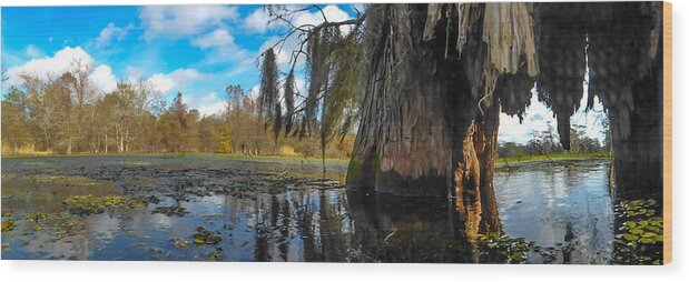Orcinusfotograffy Wood Print featuring the photograph Cypress Underbelly by Kimo Fernandez