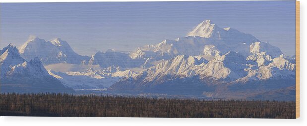 Alaska Wood Print featuring the photograph Denali by Chad Dutson