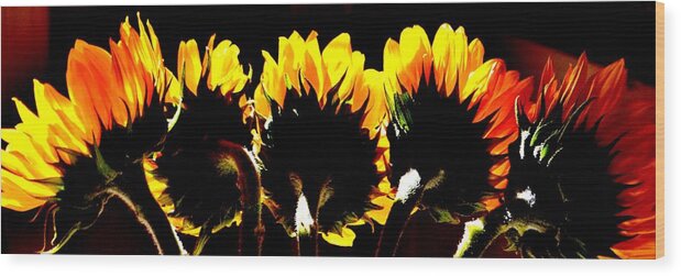 Sunflowers Wood Print featuring the photograph Soaking up Sun by Eileen Brymer