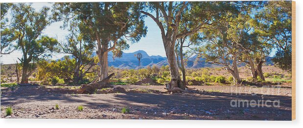 Flinders Ranges Windmill Outback South Australia Australian Landscape Landscapes Stony River Bed Gum Trees Wood Print featuring the photograph Flinders Ranges Windmill by Bill Robinson