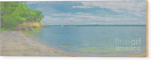 Yankton Wood Print featuring the photograph Lewis and Clark Lake by Pamela Williams
