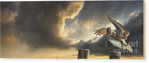 Bird Wood Print featuring the photograph Pelican Evening by Meirion Matthias