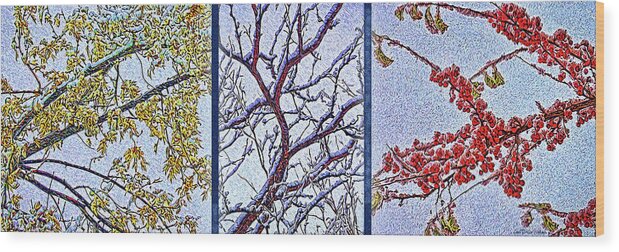 Joelbrucewallach Wood Print featuring the digital art Snowy Branches Trio - Triptych by Joel Bruce Wallach