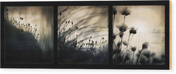 Grass Mood Triptych Wild Art Fineart Dorit Nature Wood Print featuring the photograph Wild Things by Dorit Fuhg