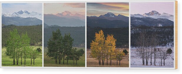 Four Seasons Wood Print featuring the photograph Four Seasons - Longs Peak by Aaron Spong