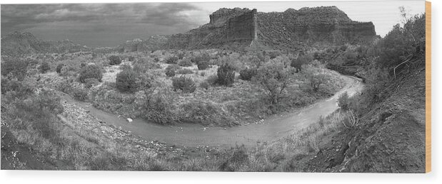 Richard E. Porter Wood Print featuring the photograph Drought Buster, CAprock Canyons State Park, Texas by Richard Porter
