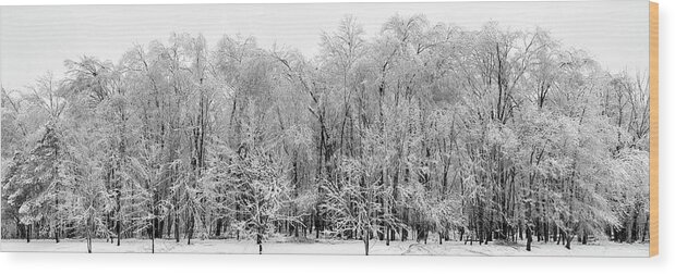 Trees Wood Print featuring the photograph Ice Covered Trees, Eaton Rapids by Edward Shotwell