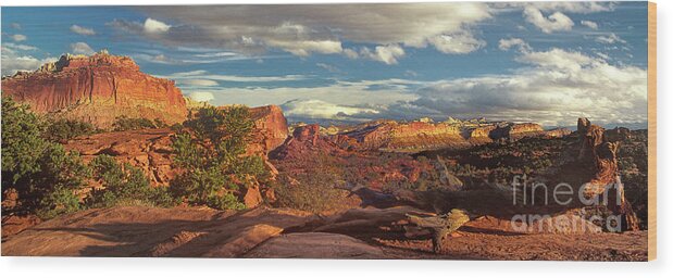 Dave Welling Wood Print featuring the photograph Panorama Near Waterpocket Fold Capitol Reef National Park by Dave Welling