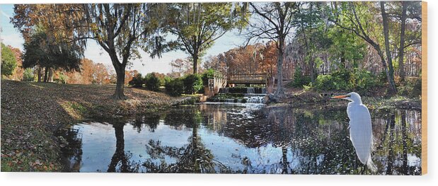 Greenfield Lake Wood Print featuring the photograph Panorama of Greenfield Lake Park, Wilmington, NC by WAZgriffin Digital