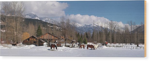 617 Wood Print featuring the photograph Pemberton Canada Horses by Sonny Ryse
