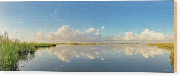 Clouds Wood Print featuring the photograph Reflections from Port Bay by Christopher Rice