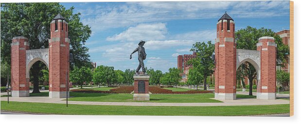 Sower Statue Wood Print featuring the photograph Sower Statue on the campus of the University of Oklahoma panoramic view by Eldon McGraw