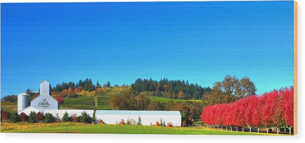 Fall Wood Print featuring the photograph Stoller Storage Driveway 19828 by Jerry Sodorff