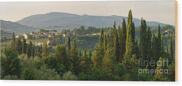 Europe Wood Print featuring the photograph Village and Cypresses by Francesco Emanuele Carucci